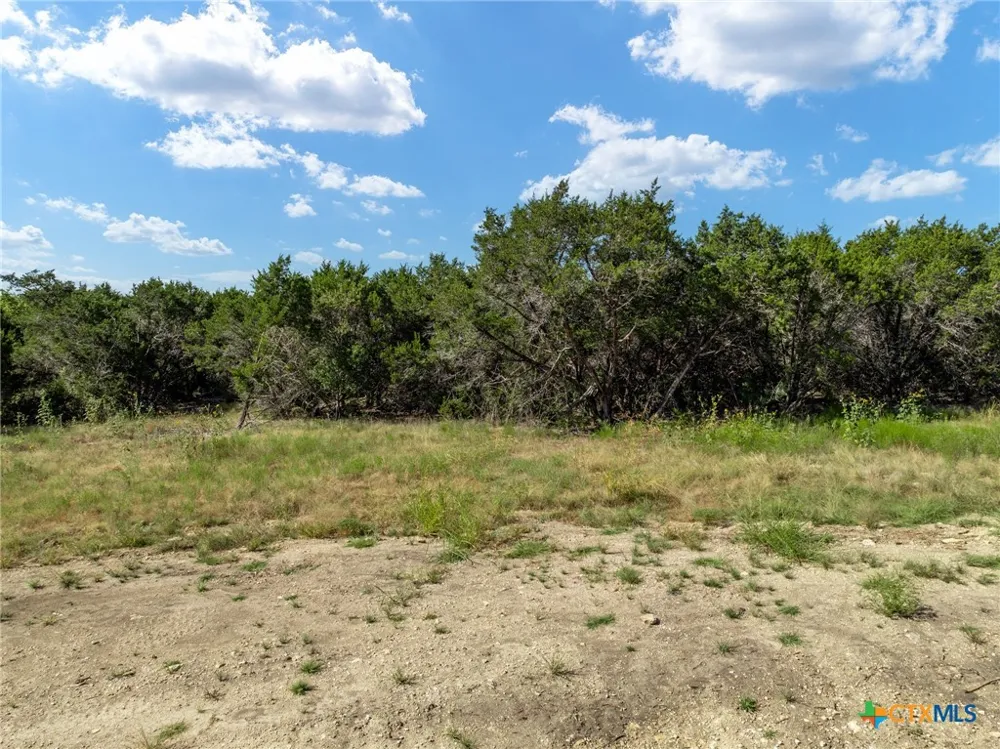 161 Dove Circle Jonesboro, TX 76538