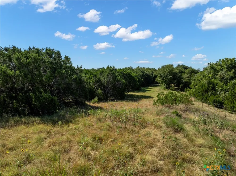 161 Dove Circle Jonesboro, TX 76538