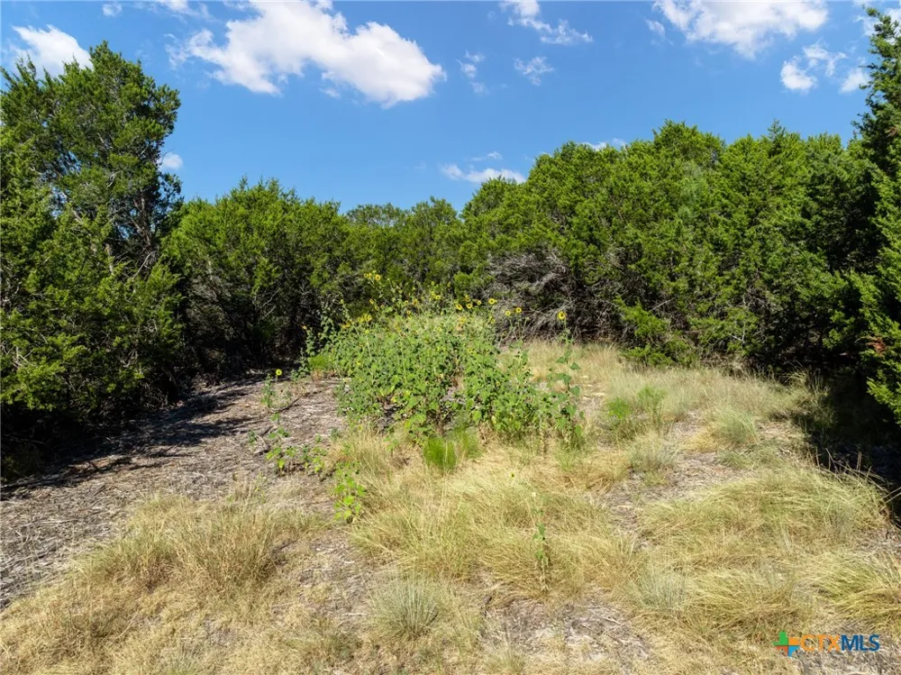161 Dove Circle Jonesboro, TX 76538