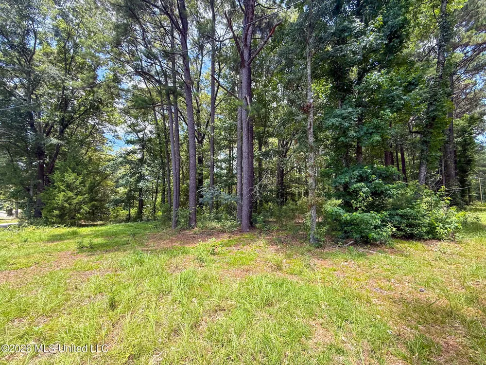 Berthadale Road Mccomb, MS 39648
