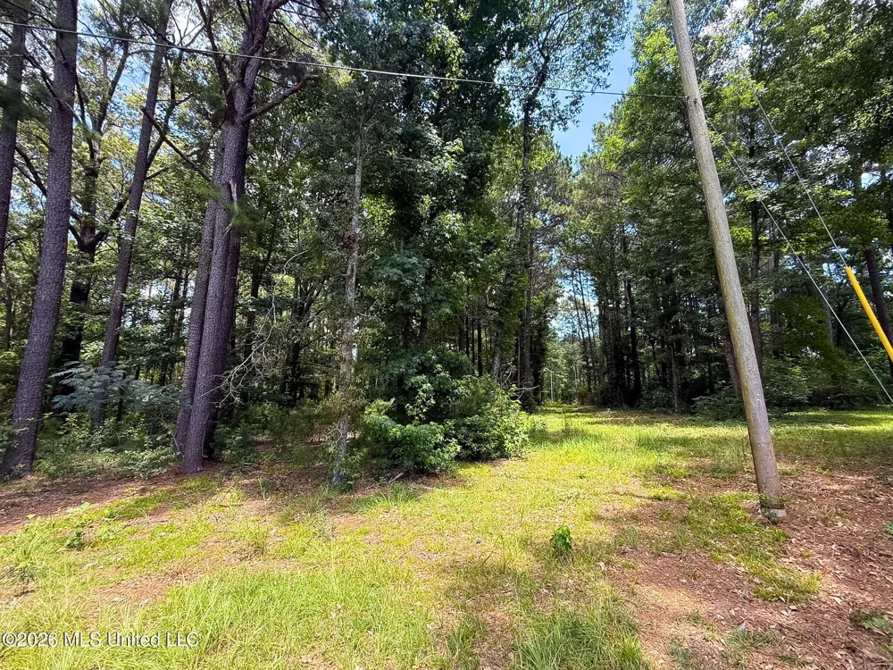 Berthadale Road Mccomb, MS 39648