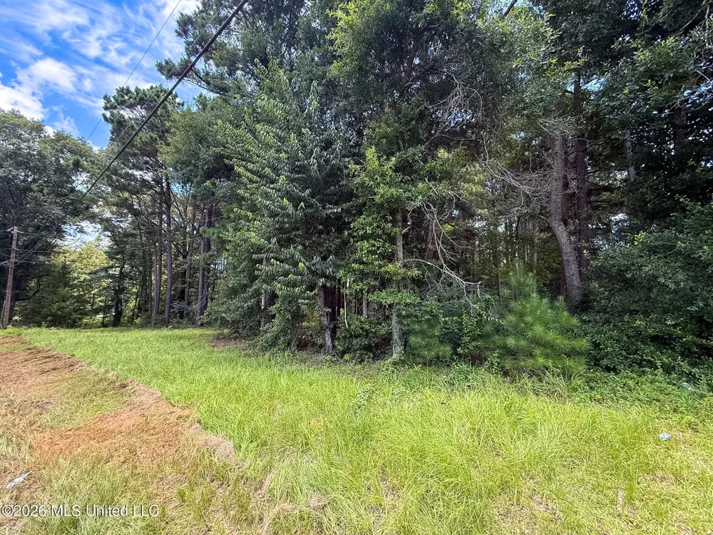 Berthadale Road Mccomb, MS 39648
