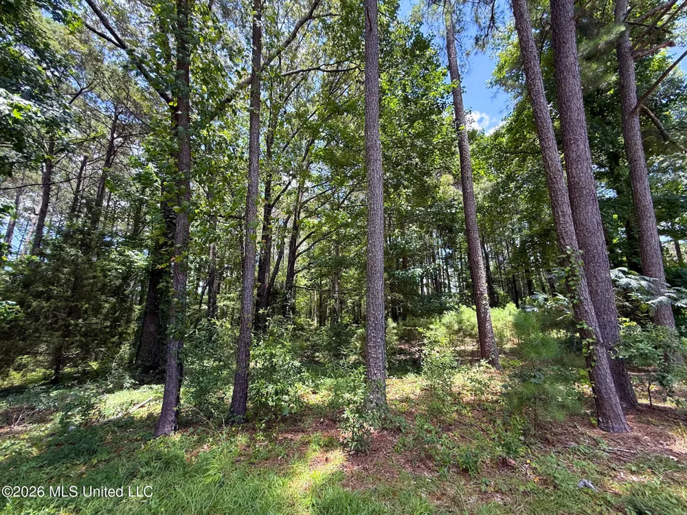 Berthadale Road Mccomb, MS 39648