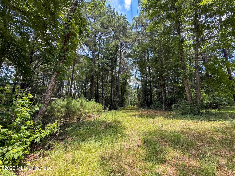 Berthadale Road Mccomb, MS 39648