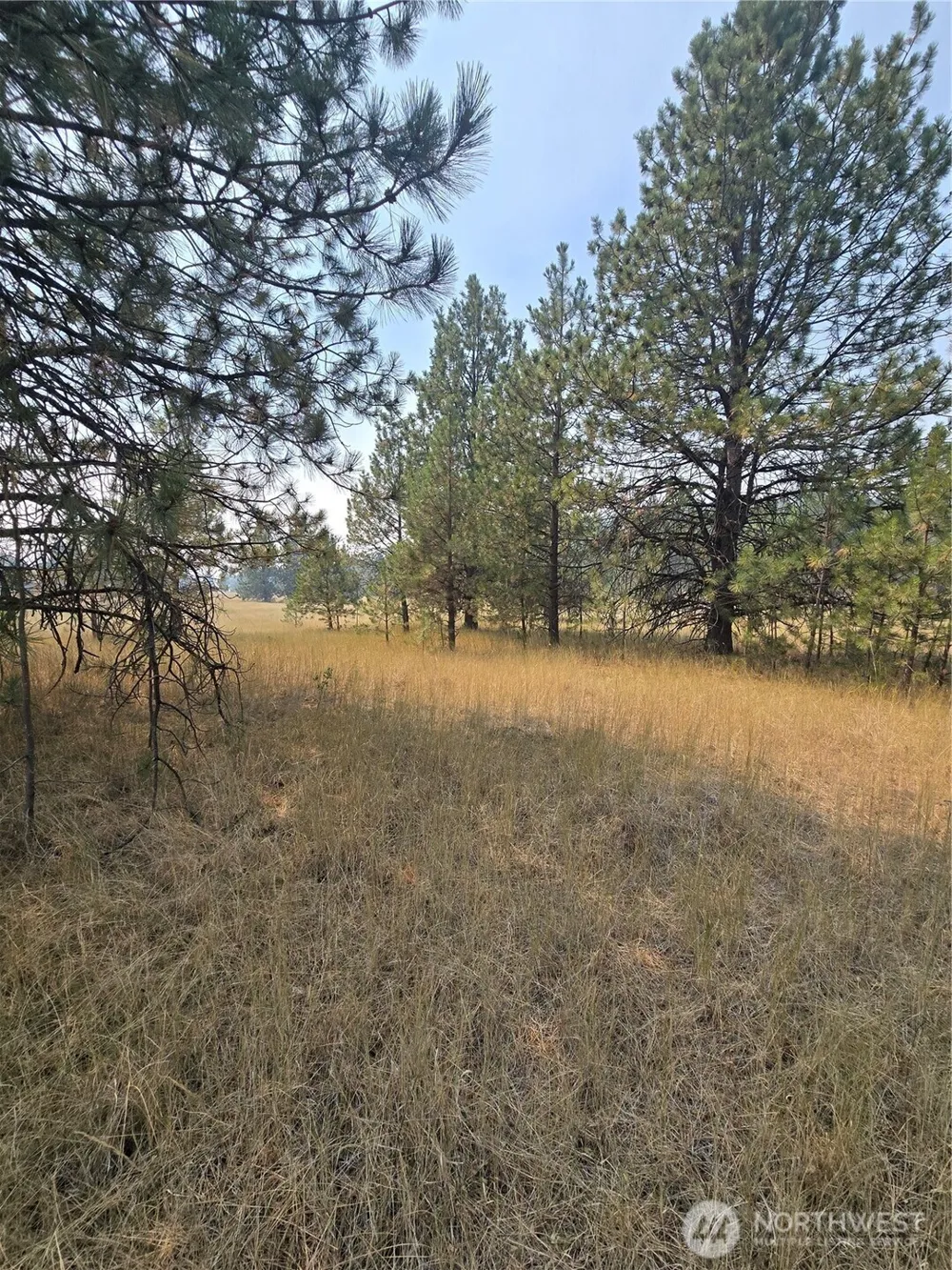 0 TBD Turner Lake Road Tonasket, WA 98855