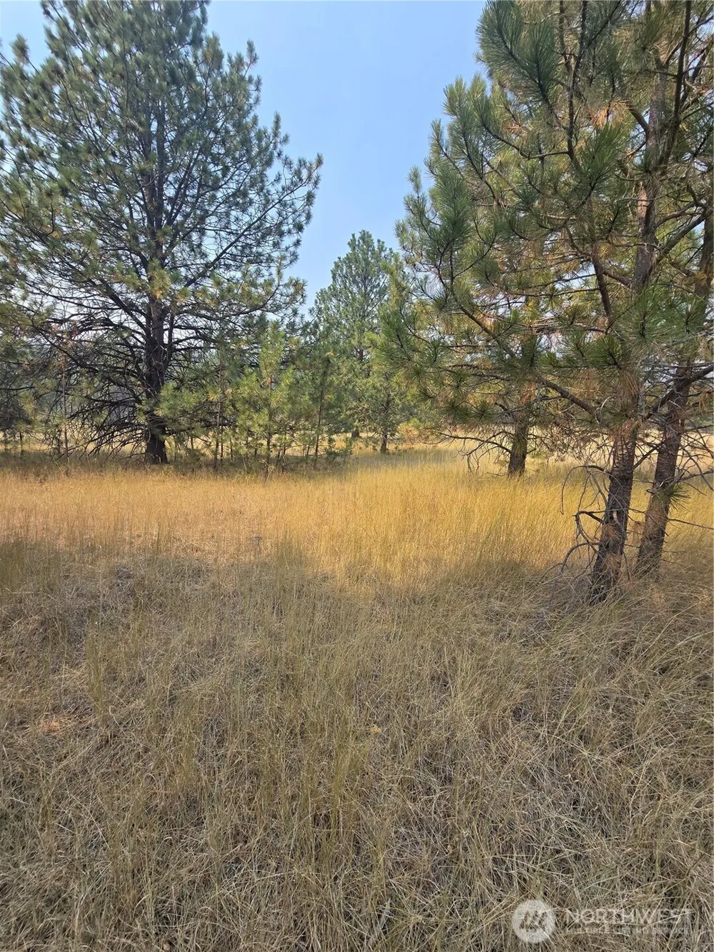 0 TBD Turner Lake Road Tonasket, WA 98855