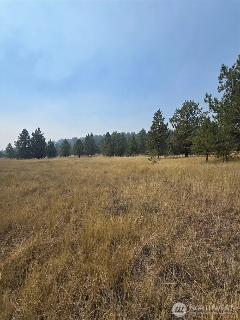 0 TBD Turner Lake Road Tonasket, WA 98855