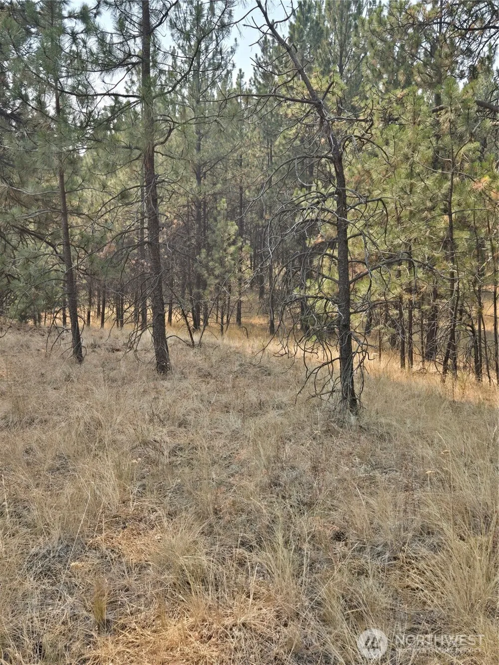 0 TBD Turner Lake Road Tonasket, WA 98855
