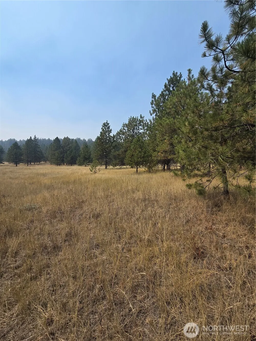 0 TBD Turner Lake Road Tonasket, WA 98855