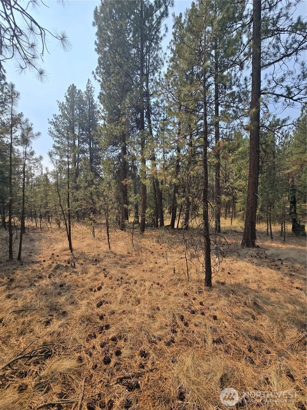 0 TBD Turner Lake Road Tonasket, WA 98855