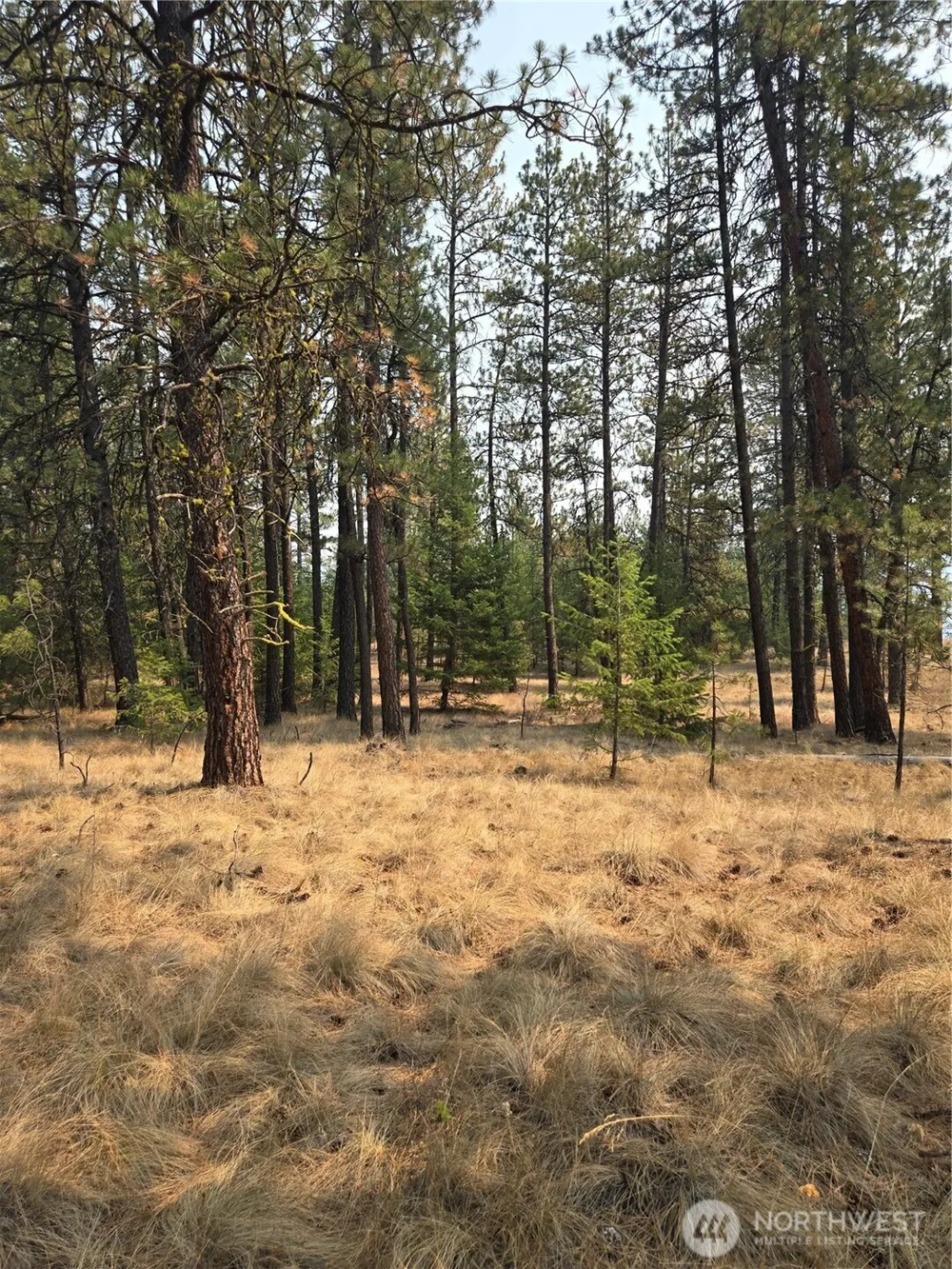 0 TBD Turner Lake Road Tonasket, WA 98855