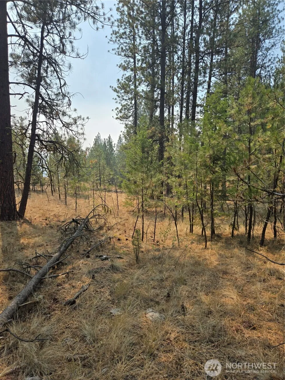 0 TBD Turner Lake Road Tonasket, WA 98855