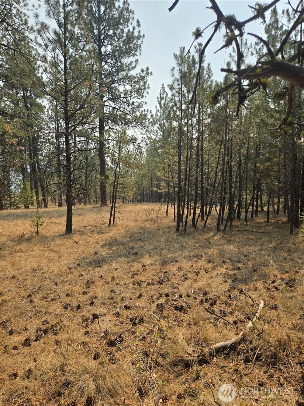 0 TBD Turner Lake Road Tonasket, WA 98855