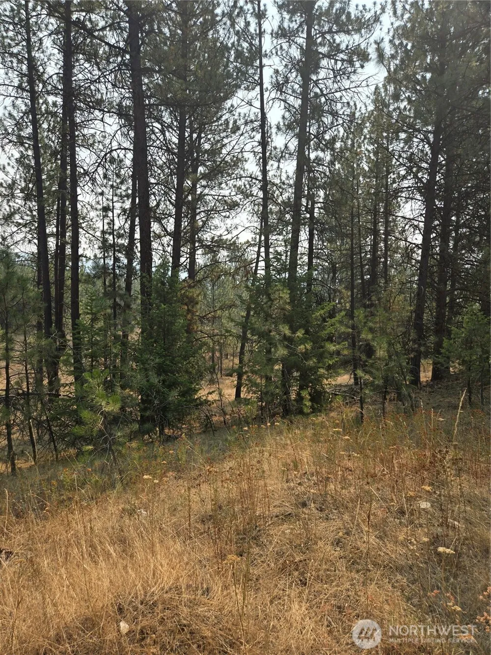 0 TBD Turner Lake Road Tonasket, WA 98855