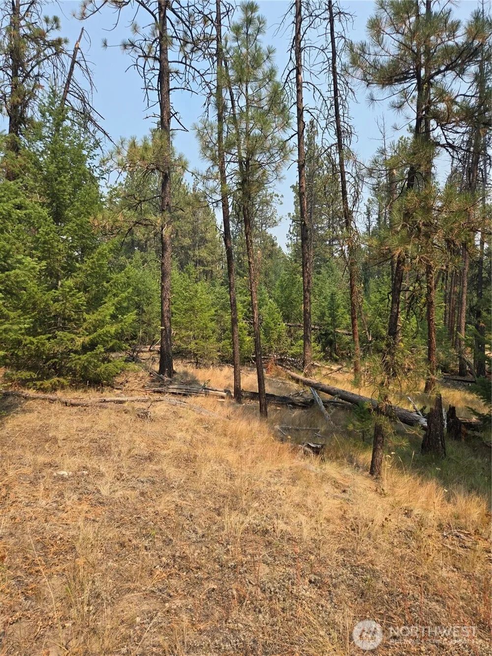 0 TBD Turner Lake Road Tonasket, WA 98855