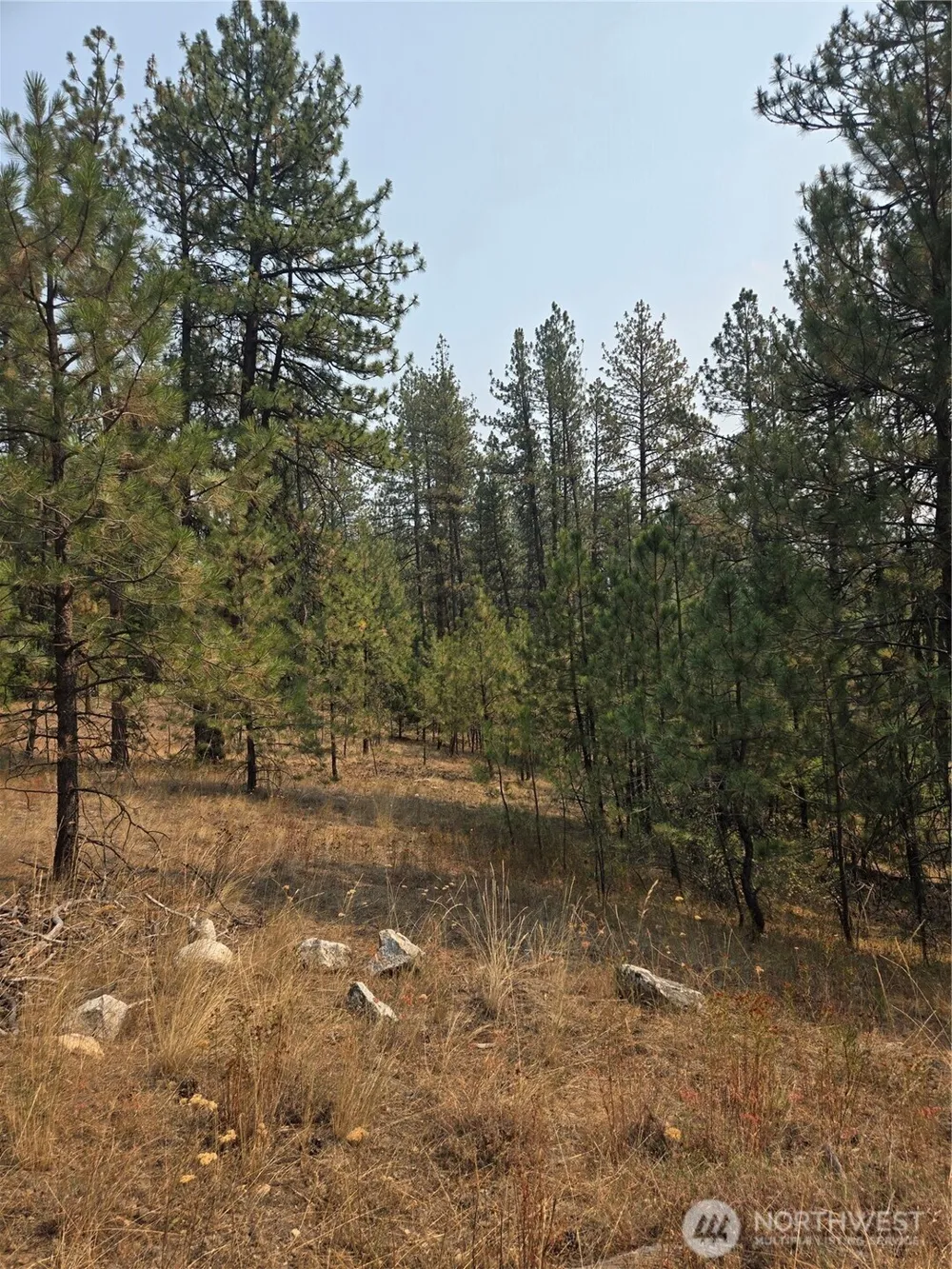 0 TBD Turner Lake Road Tonasket, WA 98855