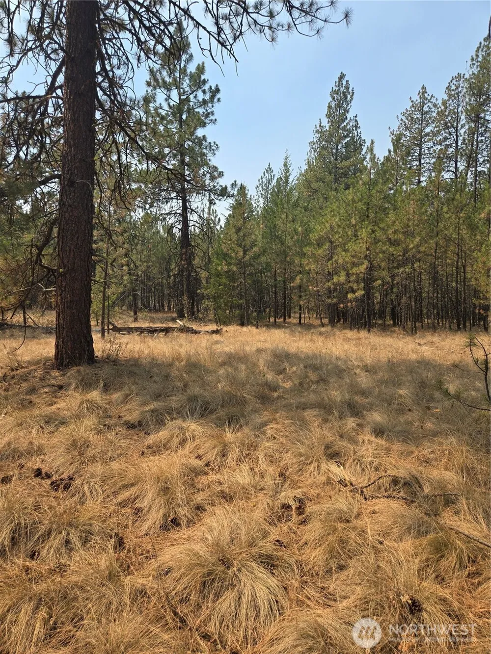 0 TBD Turner Lake Road Tonasket, WA 98855