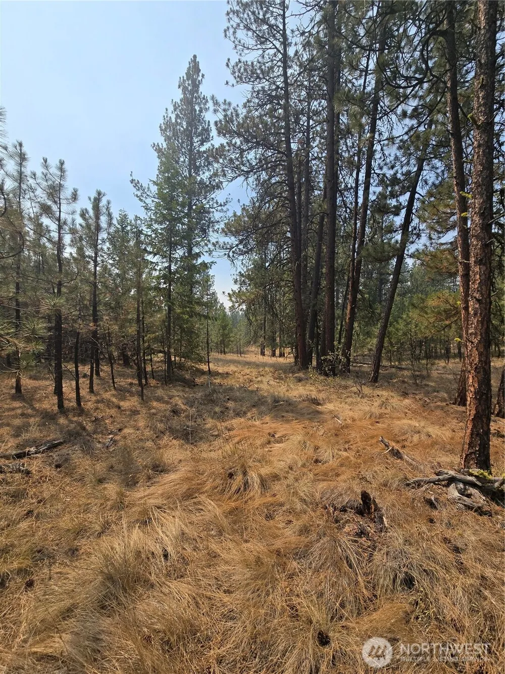 0 TBD Turner Lake Road Tonasket, WA 98855