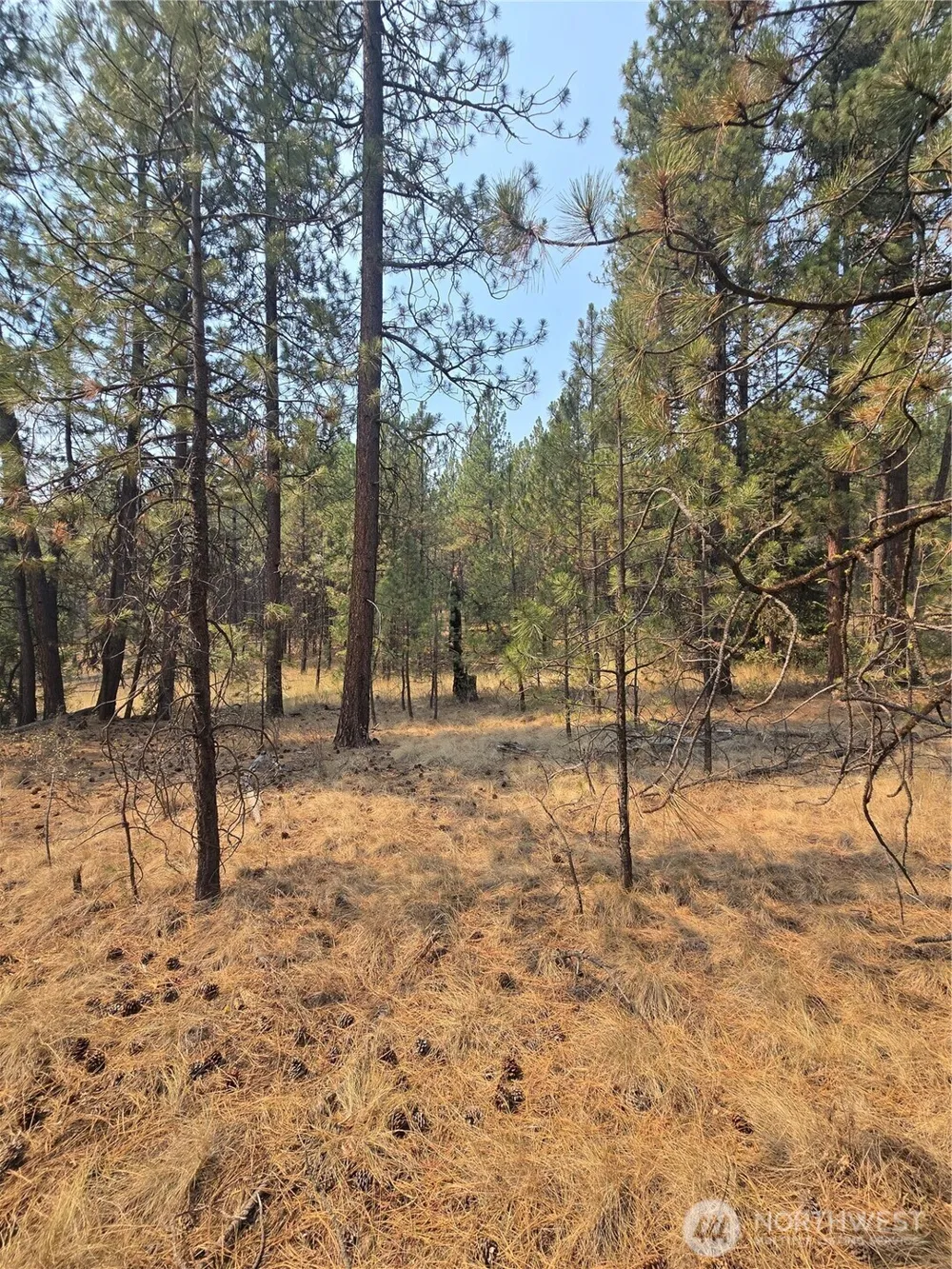 0 TBD Turner Lake Road Tonasket, WA 98855