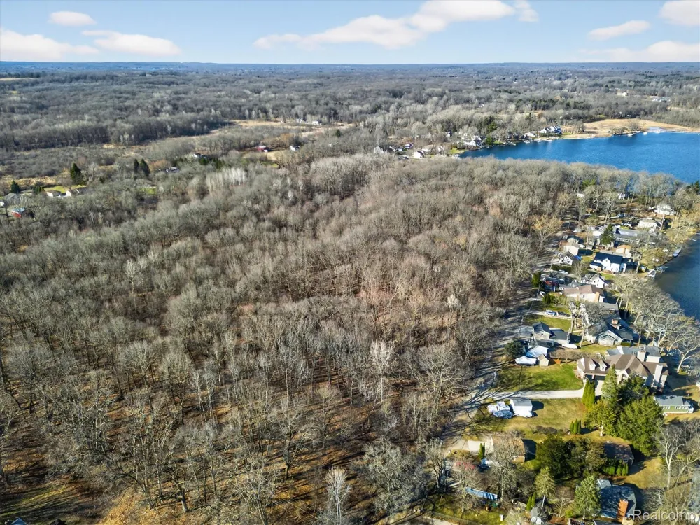 11770 Shaffer Road Springfield Charter Township, MI 48350
