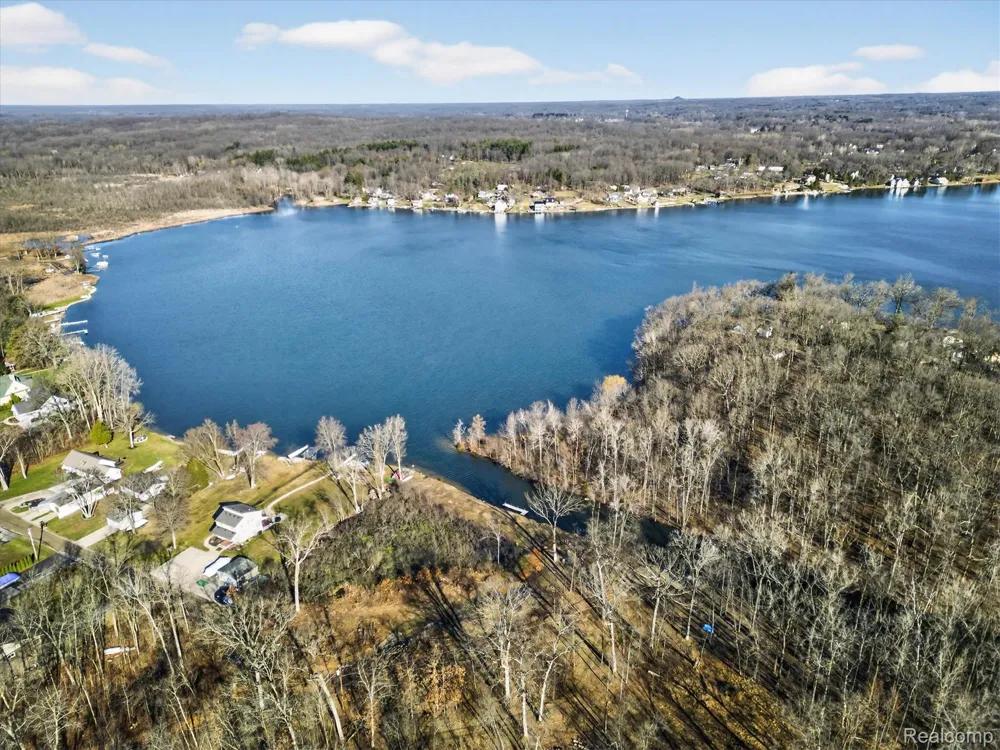 11770 Shaffer Road Springfield Charter Township, MI 48350