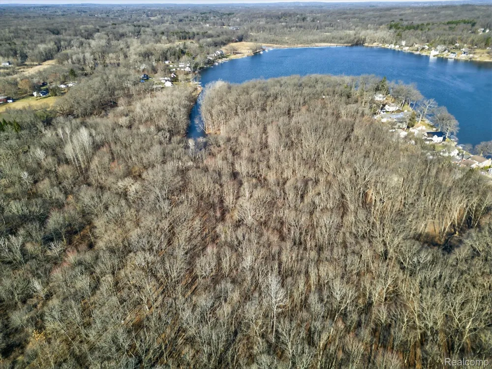 11770 Shaffer Road Springfield Charter Township, MI 48350
