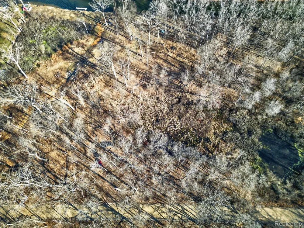 11770 Shaffer Road Springfield Charter Township, MI 48350