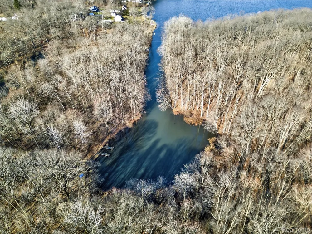 11770 Shaffer Road Springfield Charter Township, MI 48350