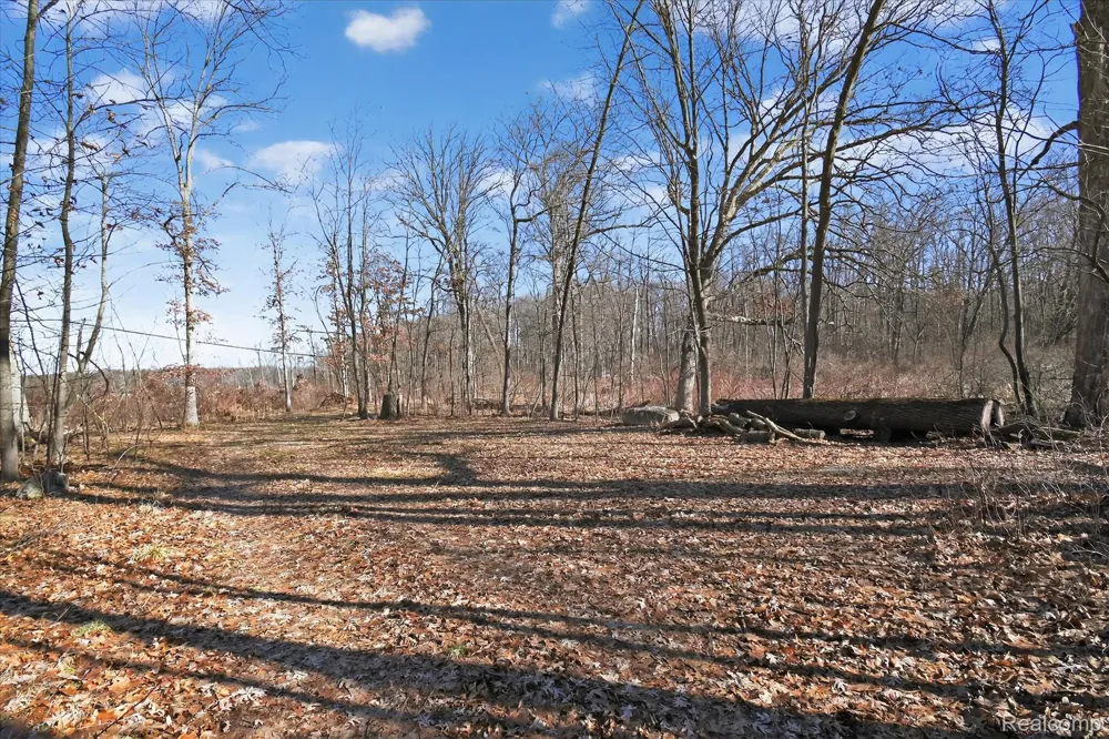 11770 Shaffer Road Springfield Charter Township, MI 48350