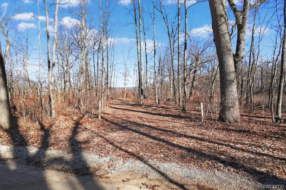 11770 Shaffer Road Springfield Charter Township, MI 48350