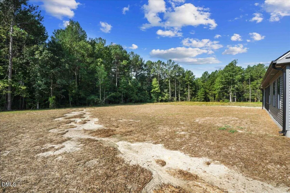 81 Birchtop Circle Zebulon, NC 27597