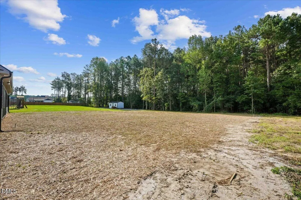 81 Birchtop Circle Zebulon, NC 27597