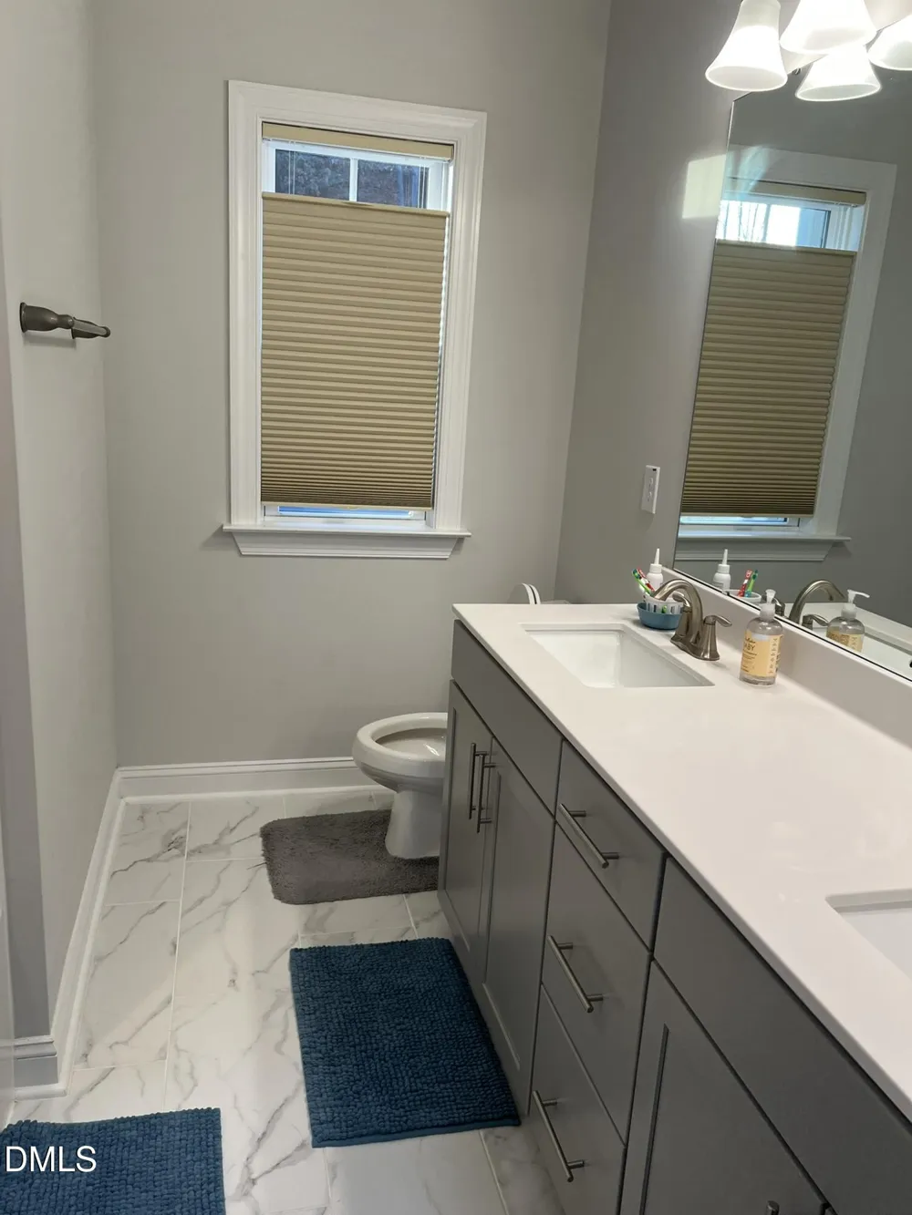 1205 Spring Wheat Court Apex, NC 27502