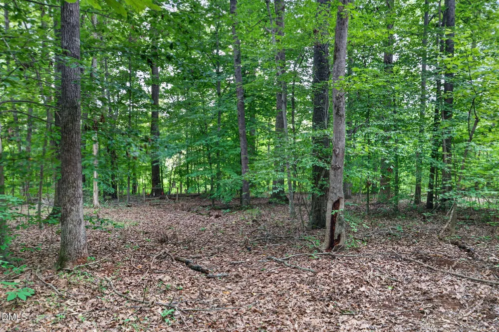 2520 Poplar Hl Court Snow Camp, NC 27349