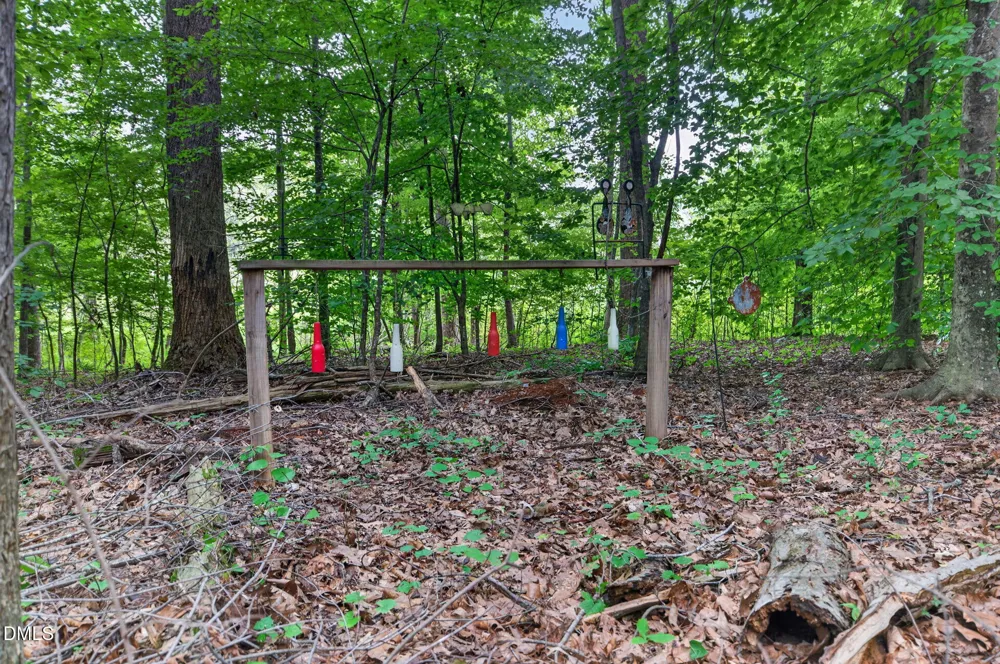 2520 Poplar Hl Court Snow Camp, NC 27349