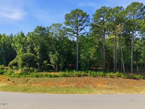 331 Meadow Walk Drive