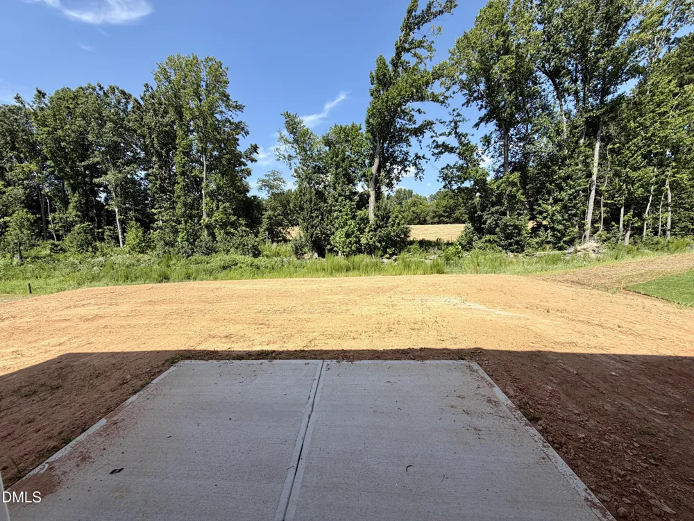 220 Buckthorn Drive Youngsville, NC 27596