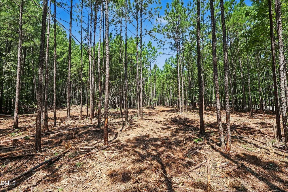 810 W Chatham Street Cary, NC 27511