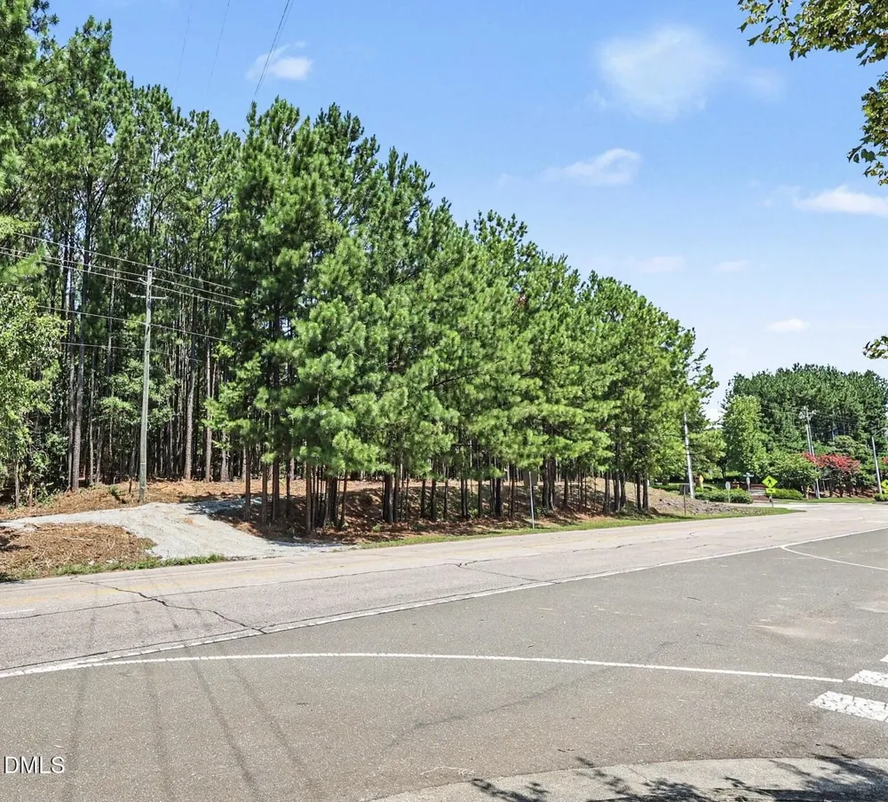 810 W Chatham Street Cary, NC 27511