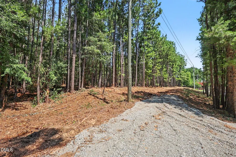 810 W Chatham Street Cary, NC 27511