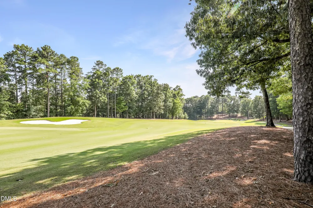 513 Morning Oaks Drive Holly Springs, NC 27540