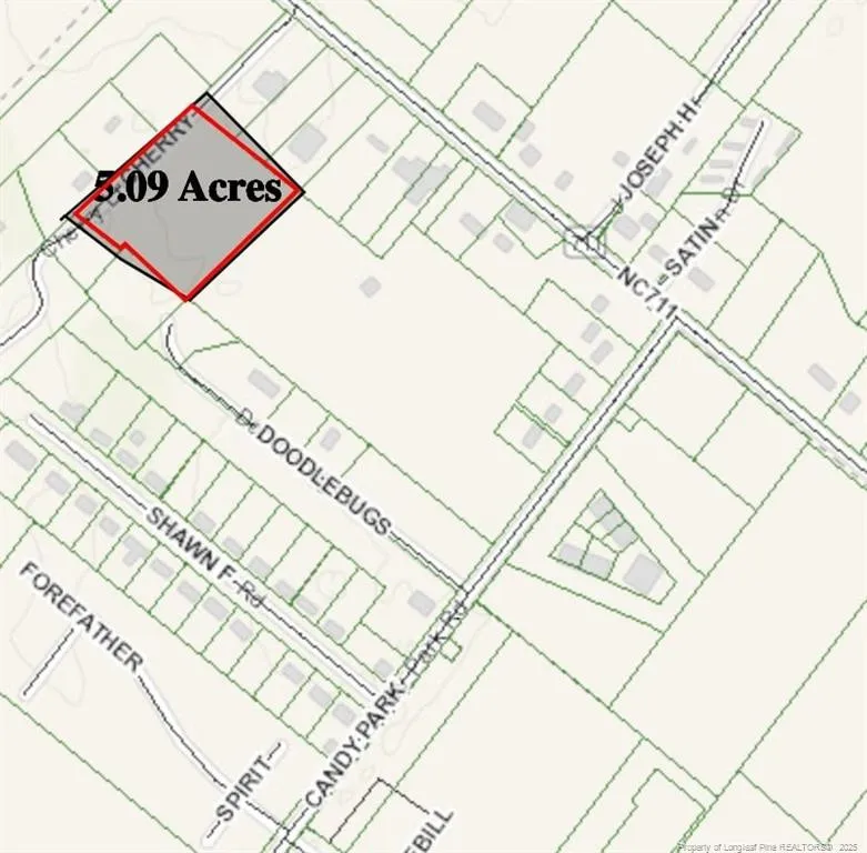 Cherry Lane Pembroke, NC 28372