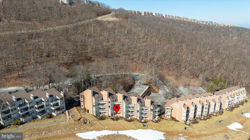 905 DIAMOND HILL Wintergreen, VA 22967