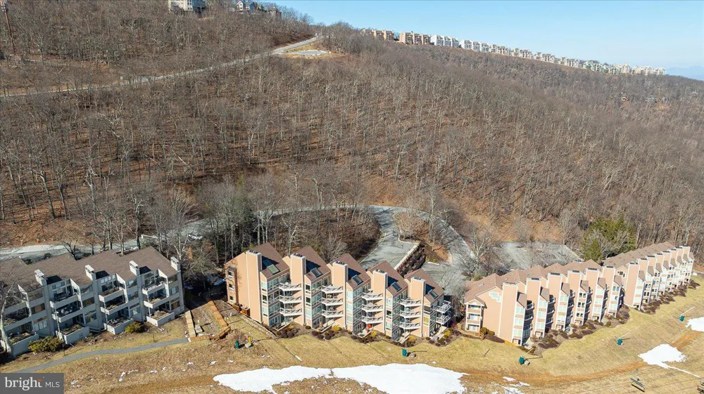 905 DIAMOND HILL Wintergreen, VA 22967
