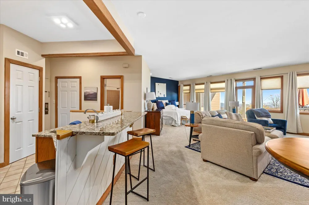 905 DIAMOND HILL Wintergreen, VA 22967