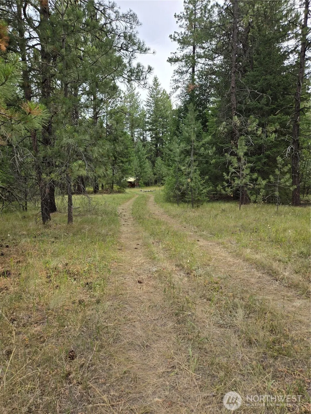 0 TBD Turner Lake Road Tonasket, WA 98855