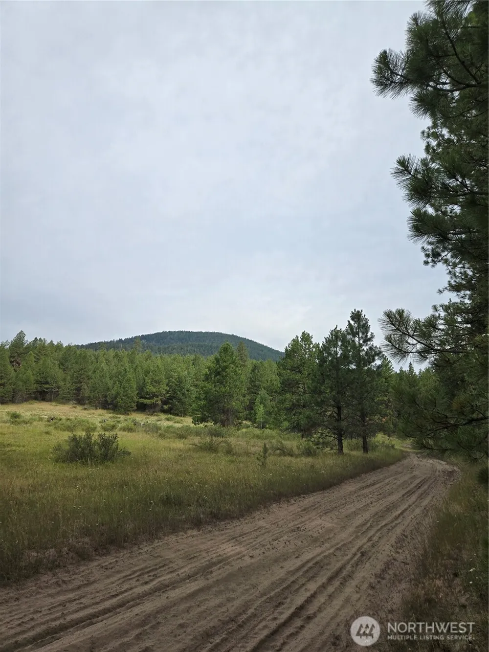 0 TBD Turner Lake Road Tonasket, WA 98855