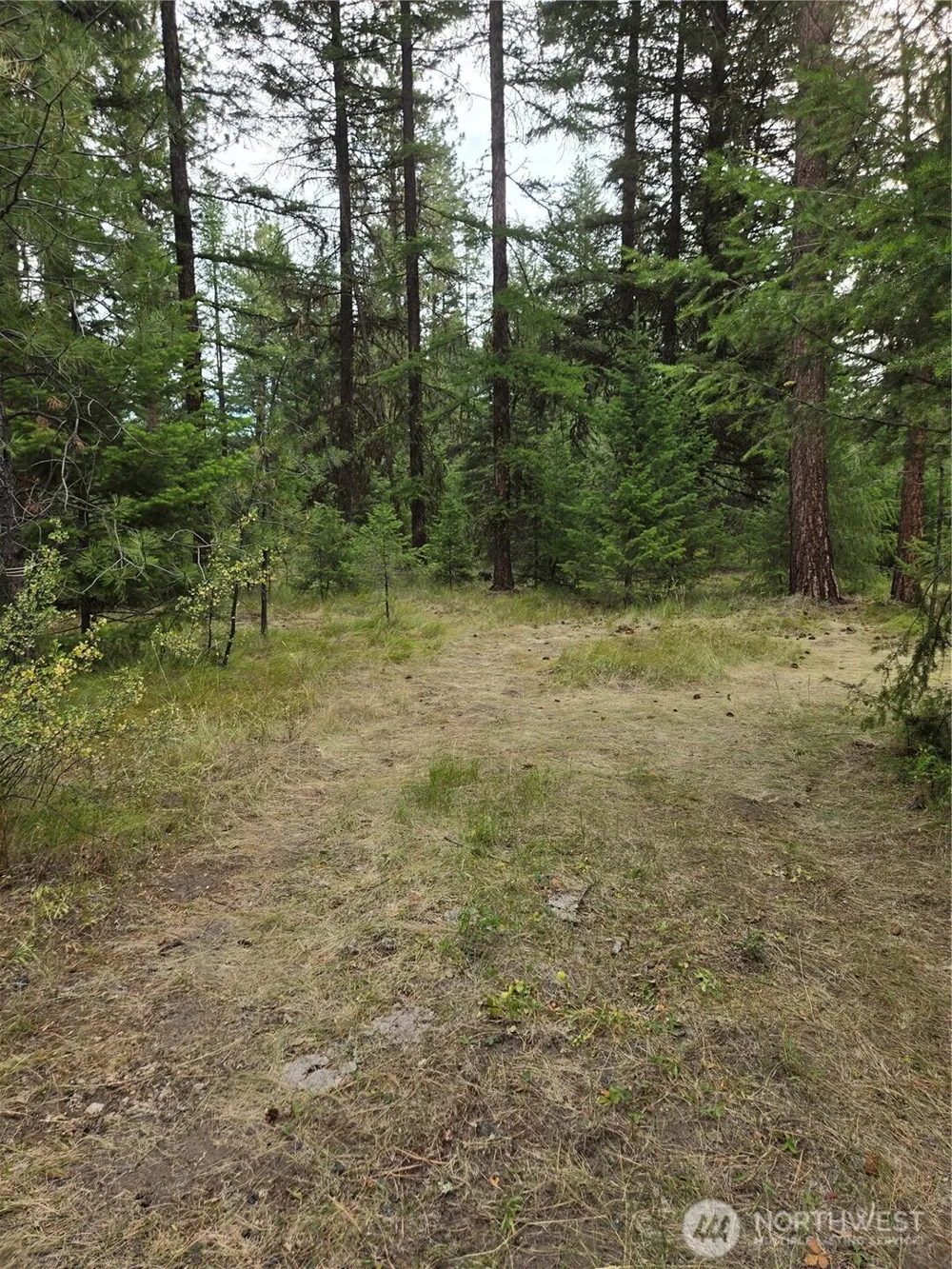 0 TBD Turner Lake Road Tonasket, WA 98855