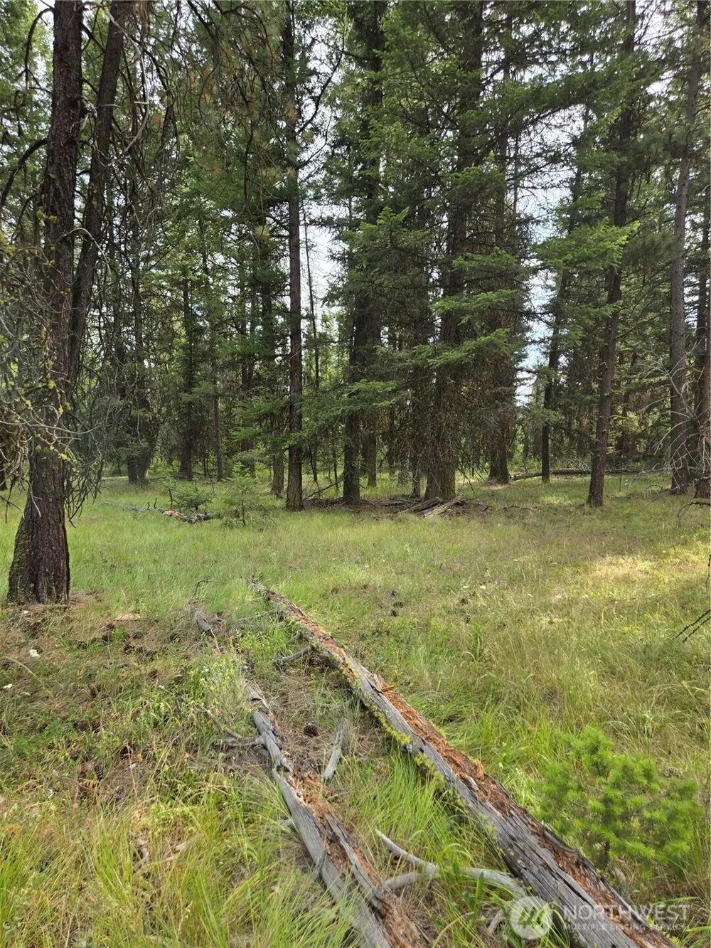 0 TBD Turner Lake Road Tonasket, WA 98855