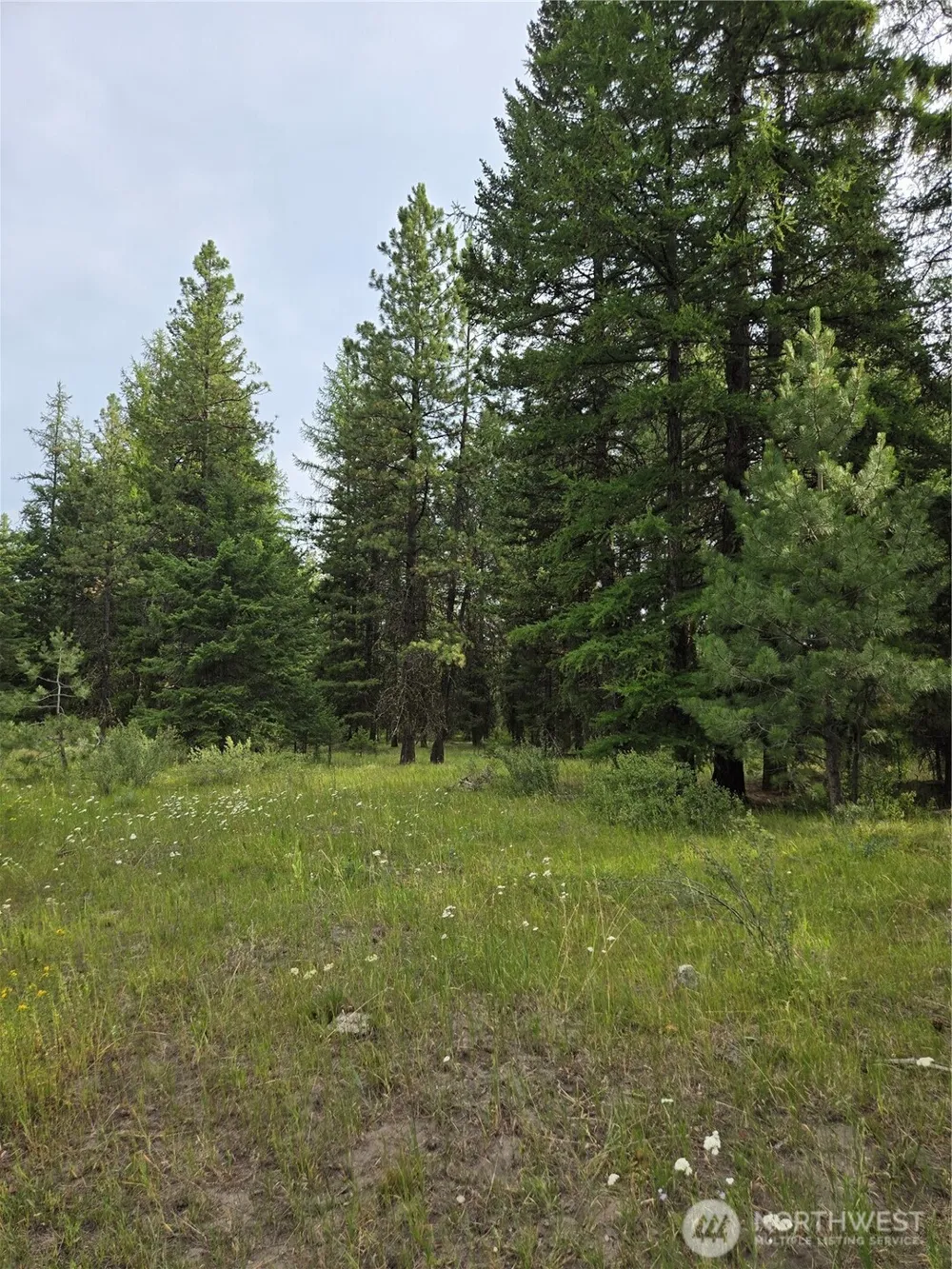 0 TBD Turner Lake Road Tonasket, WA 98855